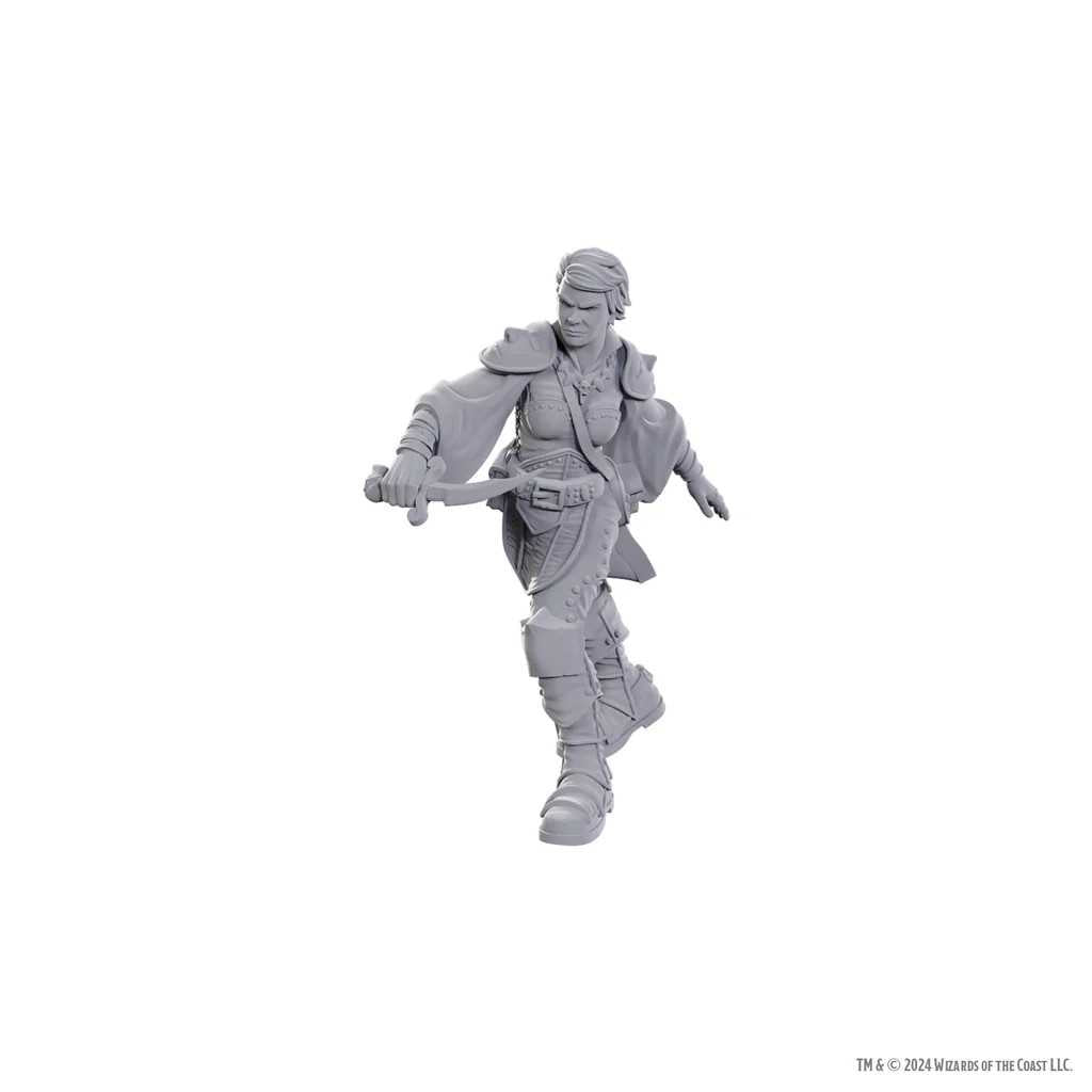 D&D Nolzur's Marvelous Unpainted Miniatures: Swashbuckler 1