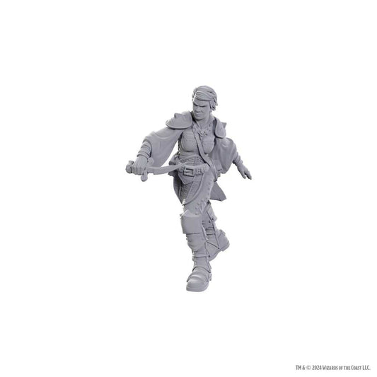 D&D Nolzur's Marvelous Unpainted Miniatures: Swashbuckler 1