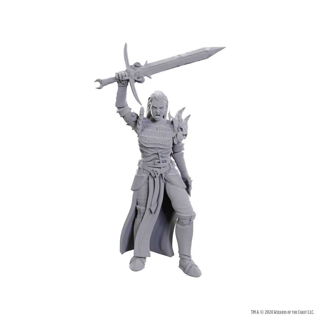 D&D Nolzur's Marvelous Unpainted Miniatures: Blackguard 1