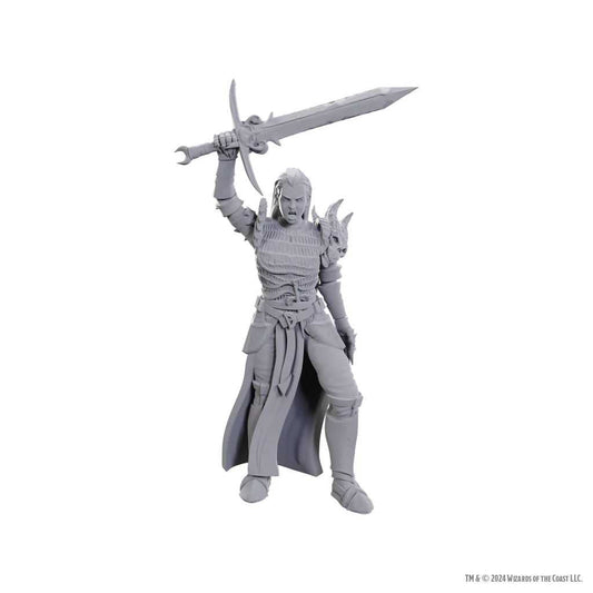 D&D Nolzur's Marvelous Unpainted Miniatures: Blackguard 1