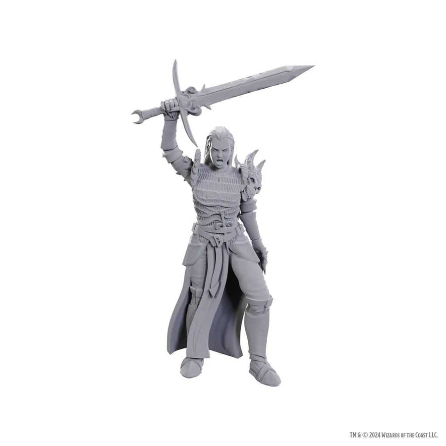 D&D Nolzur's Marvelous Unpainted Miniatures: Blackguard 1