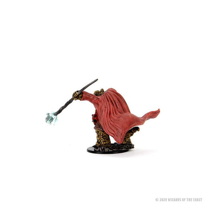 Male Tortle Monk D and D Icons of the Realms Premium Figures W3 Miniature Game by Wiz Kids 4
