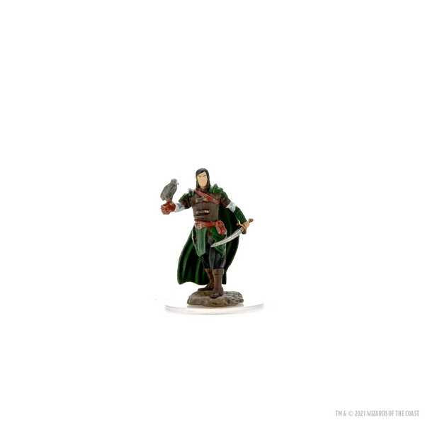 D&D Icons of the Realms Premium Figures: Male Elf Ranger 3