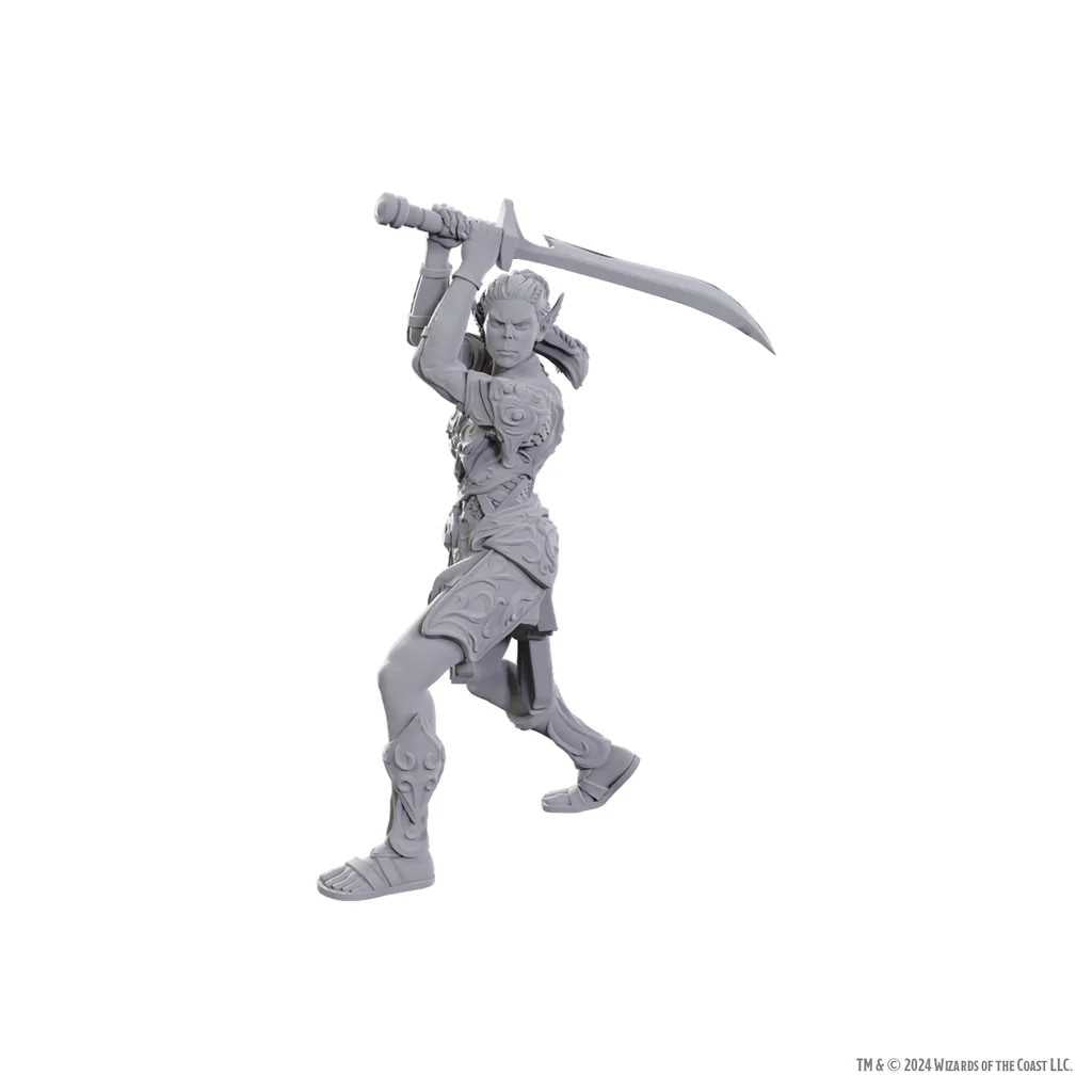 Special Edition Baldurs Gate 3 Laezel and Shadowheart D and D Nolzurs Marvelous Unpainted Miniatures Miniature Game by Wiz Kids 1