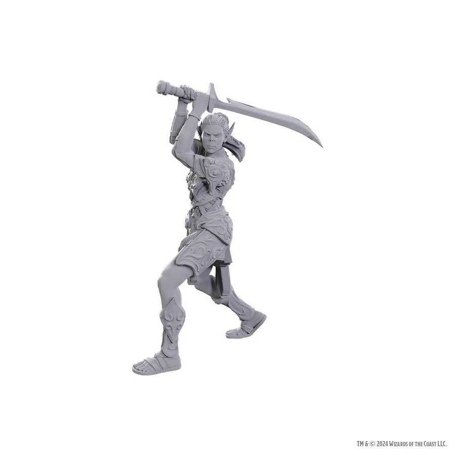 Special Edition Baldurs Gate 3 Laezel and Shadowheart D and D Nolzurs Marvelous Unpainted Miniatures Miniature Game by Wiz Kids 1