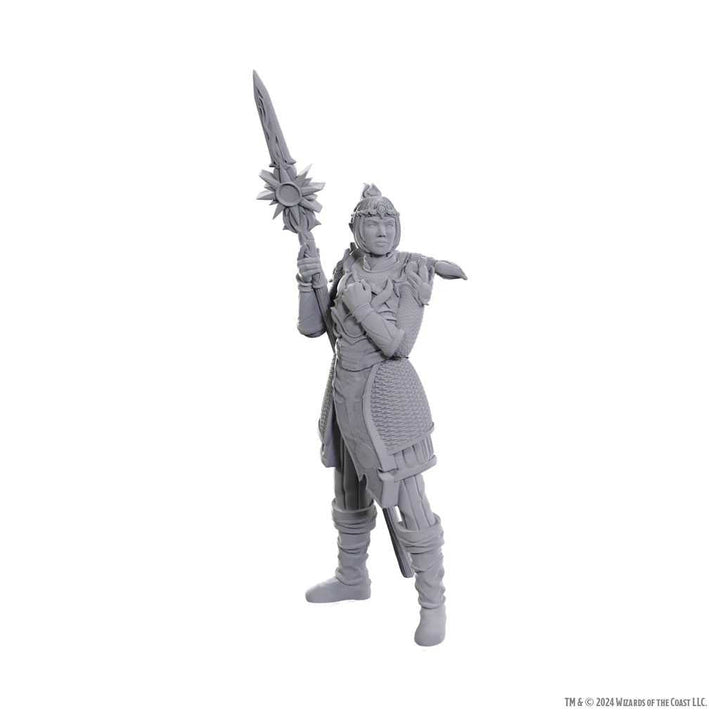 Special Edition Baldurs Gate 3 Laezel and Shadowheart D and D Nolzurs Marvelous Unpainted Miniatures Miniature Game by Wiz Kids 2