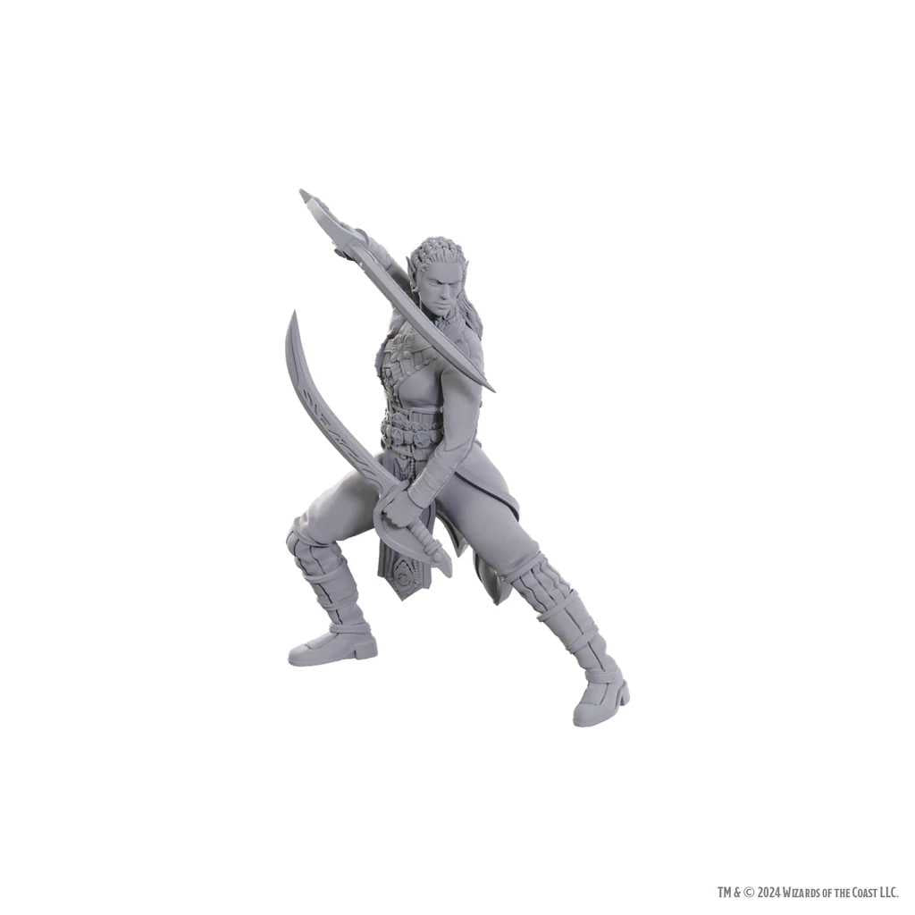 Dungeons and Dragons Nolzurs Marvelous Unpainted Miniatures Baldurs Gate 3 Jaheira and Halsin