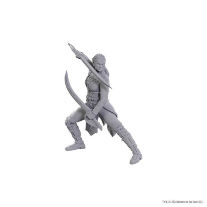 Dungeons and Dragons Nolzurs Marvelous Unpainted Miniatures Baldurs Gate 3 Jaheira and Halsin