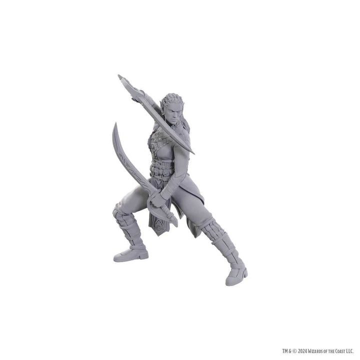 Dungeons and Dragons Nolzurs Marvelous Unpainted Miniatures Baldurs Gate 3 Jaheira and Halsin