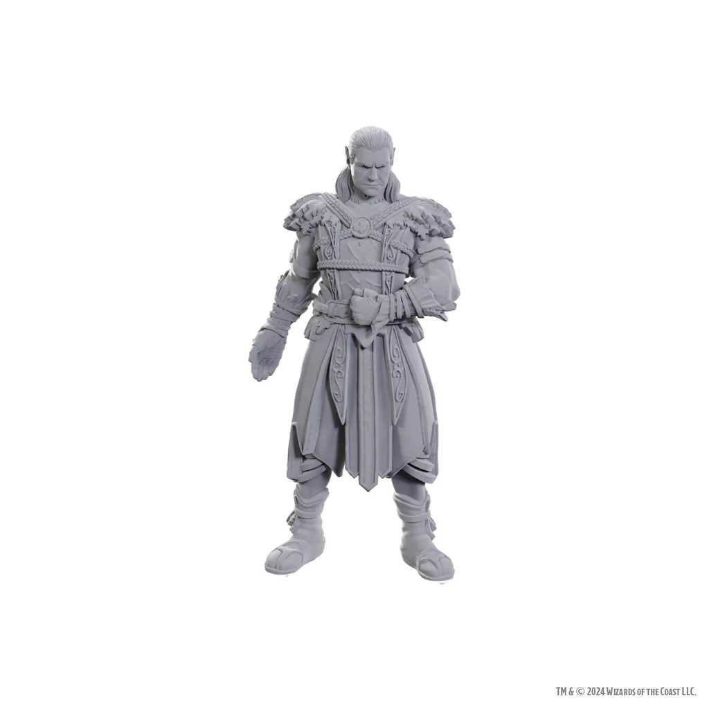 Dungeons and Dragons Nolzurs Marvelous Unpainted Miniatures Baldurs Gate 3 Jaheira and Halsin