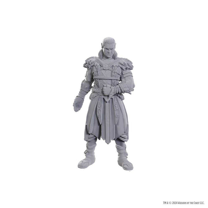 Dungeons and Dragons Nolzurs Marvelous Unpainted Miniatures Baldurs Gate 3 Jaheira and Halsin