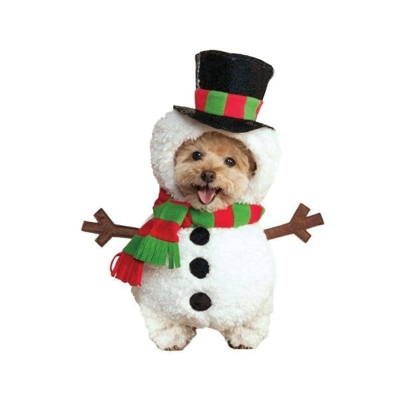 Walking Snowman Pet Costume_1