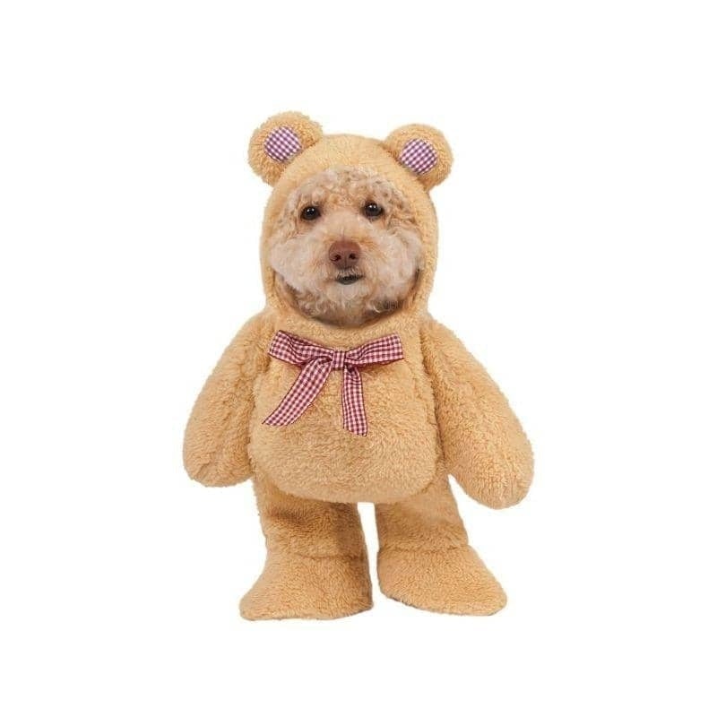 Walking Teddy Bear Pet Suit_1