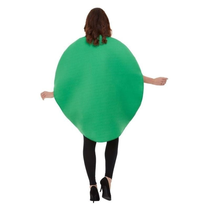 Watermelon Costume Adult Red Green Sliced Tabard_3