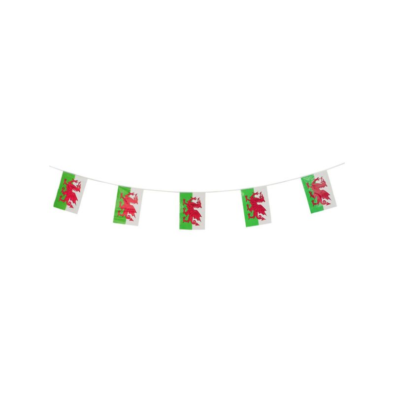 Welsh Rectangle Flag Bunting Adult Multi Coloured Party Decoration 1