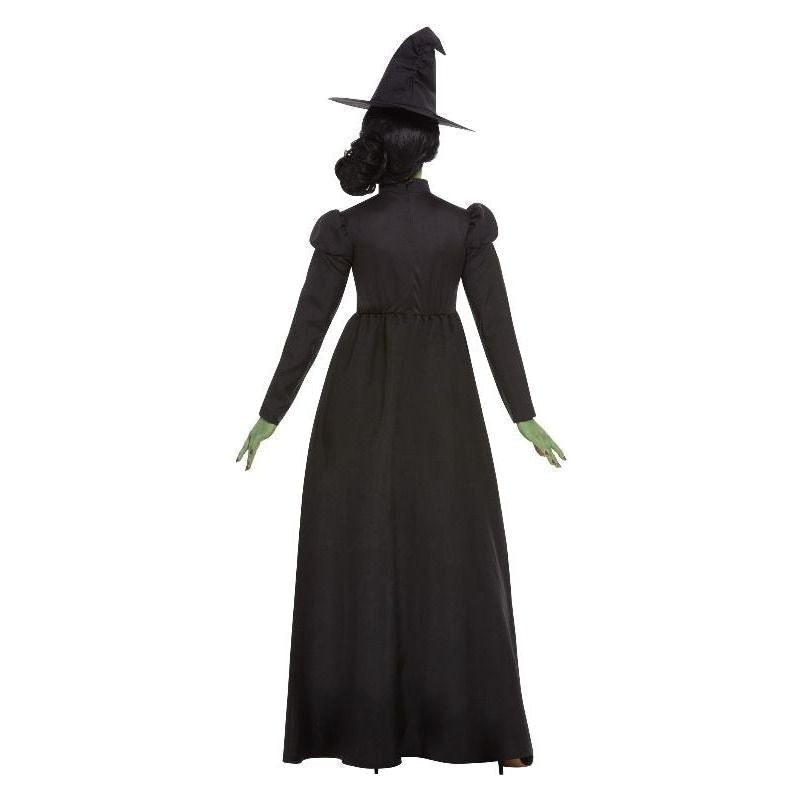 Wicked Witch Costume Adult Long Black Dress and Hat 2