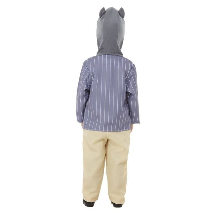 Wind In The Willows Ratty Deluxe Costume Child Blue_2