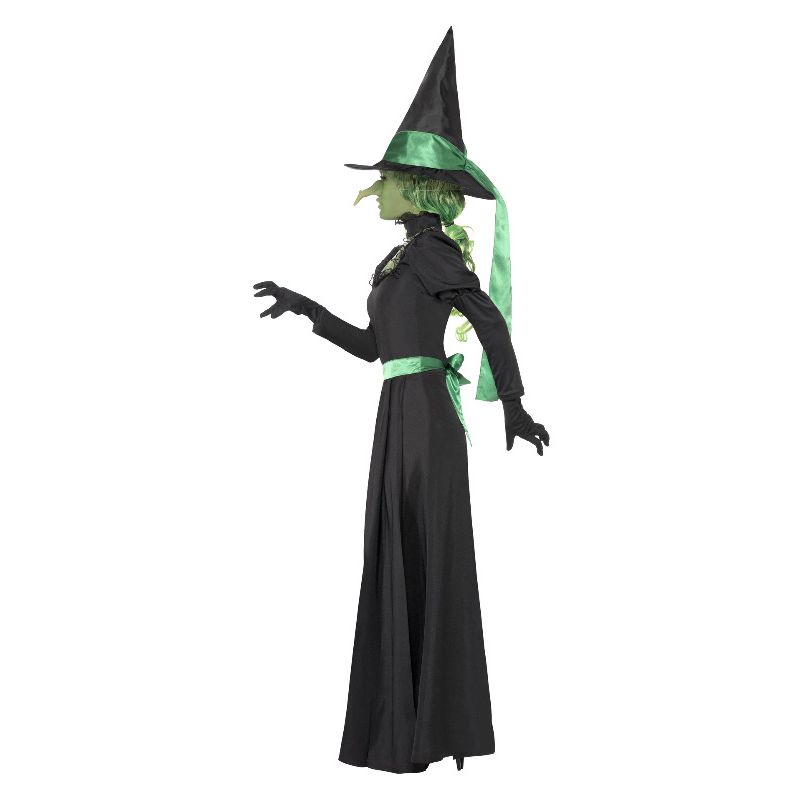 Witch Costume Black Adult 3
