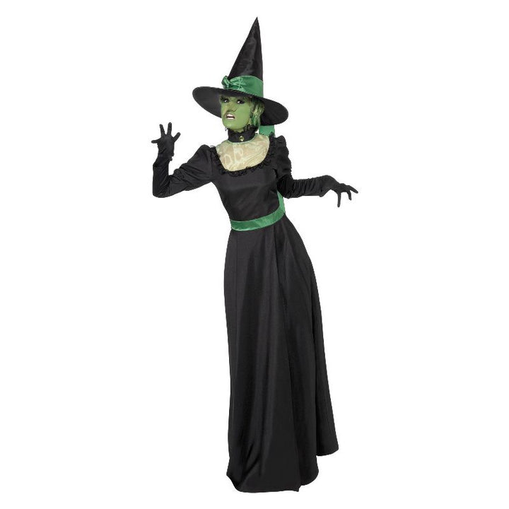 Witch Costume Black Adult_1