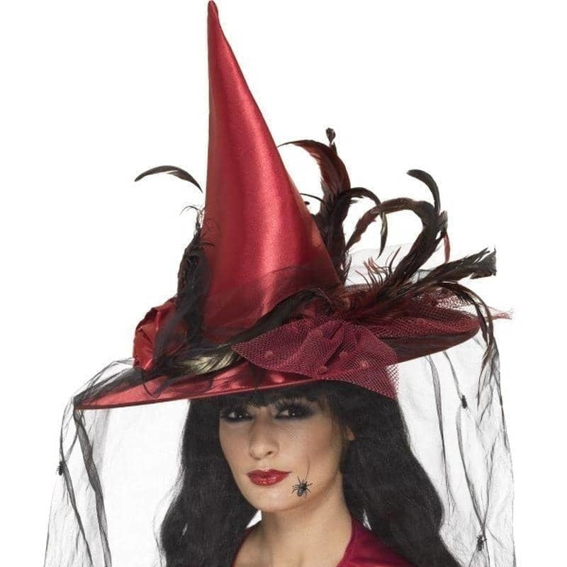 Witches Hat Adult Deep Red Net and Feathers 2