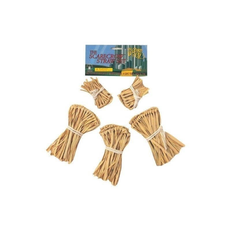 Wizard Of Oz Costume Scarecrow Straw Kit 1