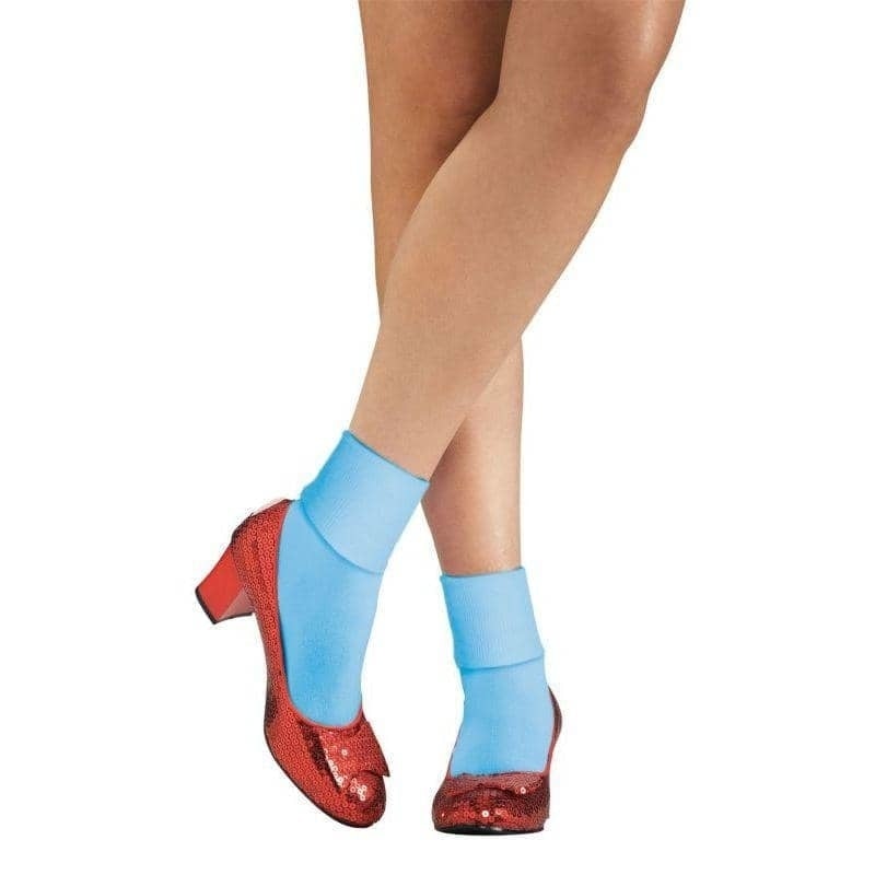 Wizard Of Oz Dorothys Ruby Slippers Secret Wishes 1