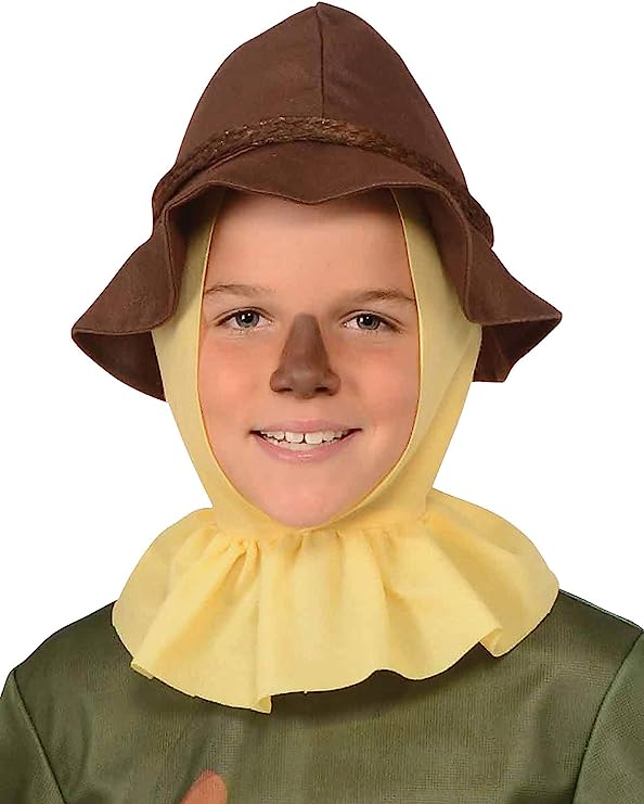 Wizard of Oz Scarecrow Costume Boys Halloween 2