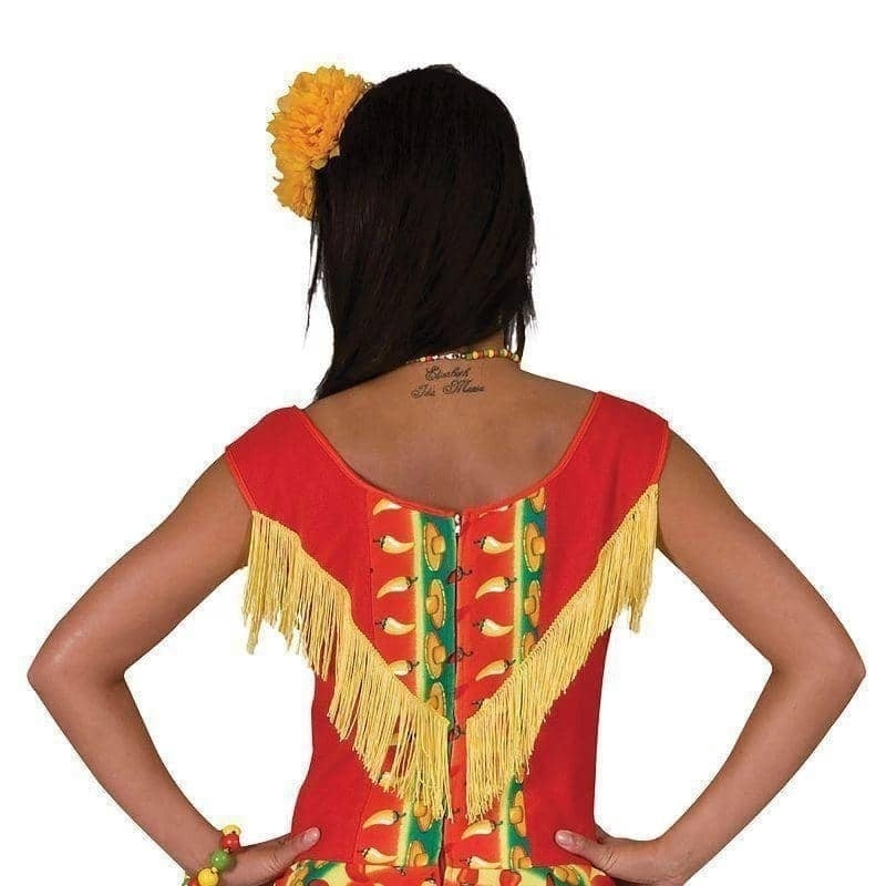 Size Chart Womens Mexican Lady Dress Adult Costume Female Uk Size 12 14 Halloween