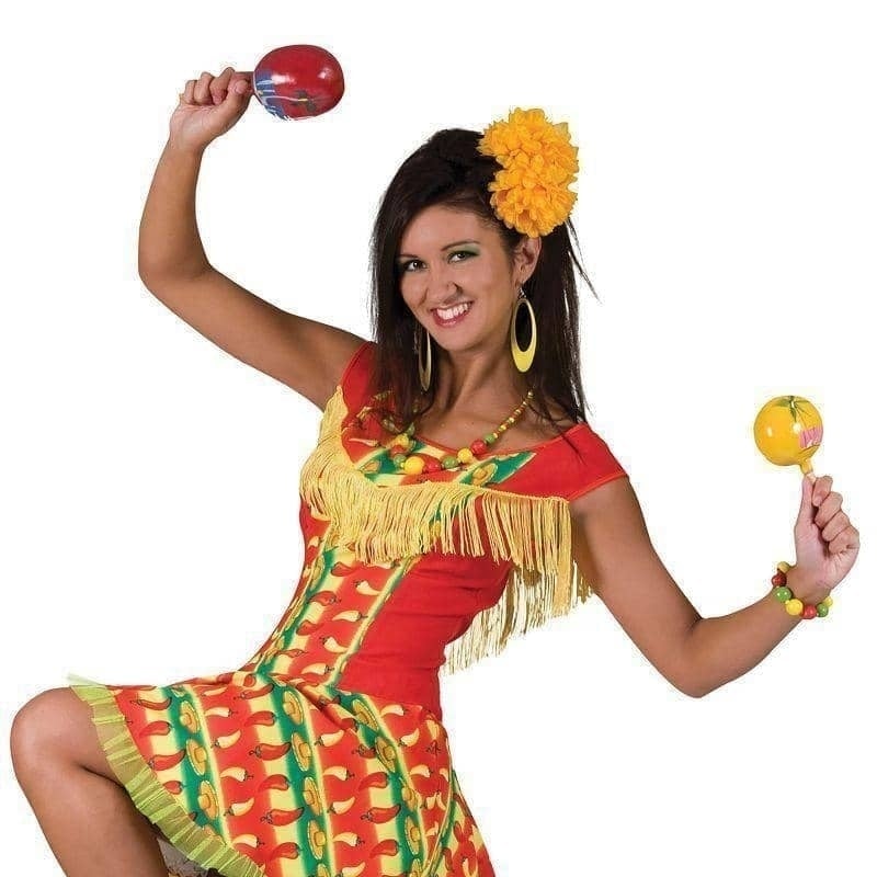 Womens Mexican Lady Dress Adult Costume Female Uk Size 12 14 Halloween_1