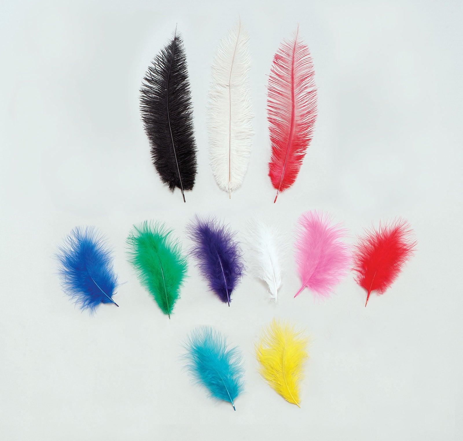 Womens Spadone Feathers Royal Blue 5 Pkt Female Packet Halloween Costume 1