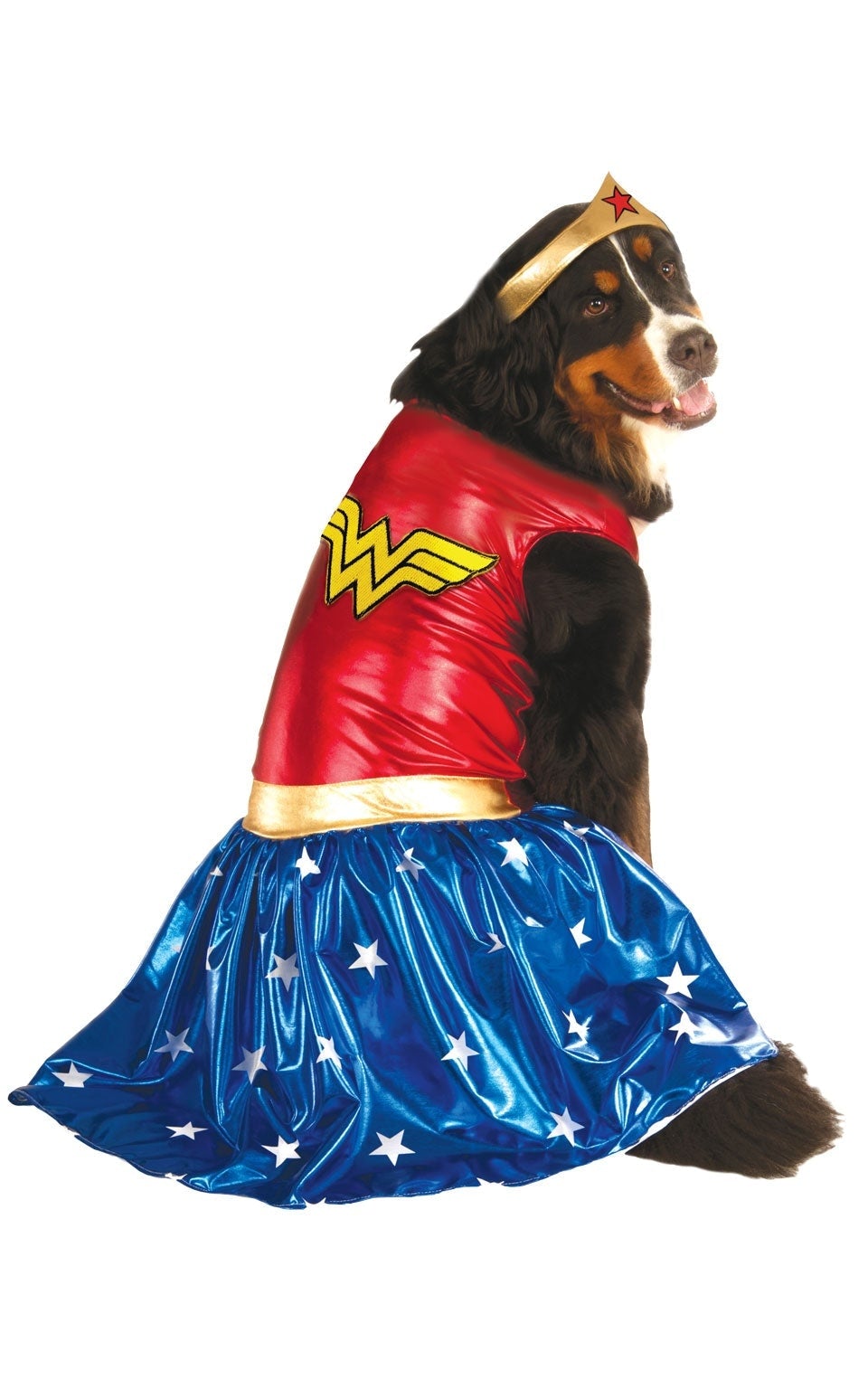 Wonder Woman Pet Costume Larger Dogs 1