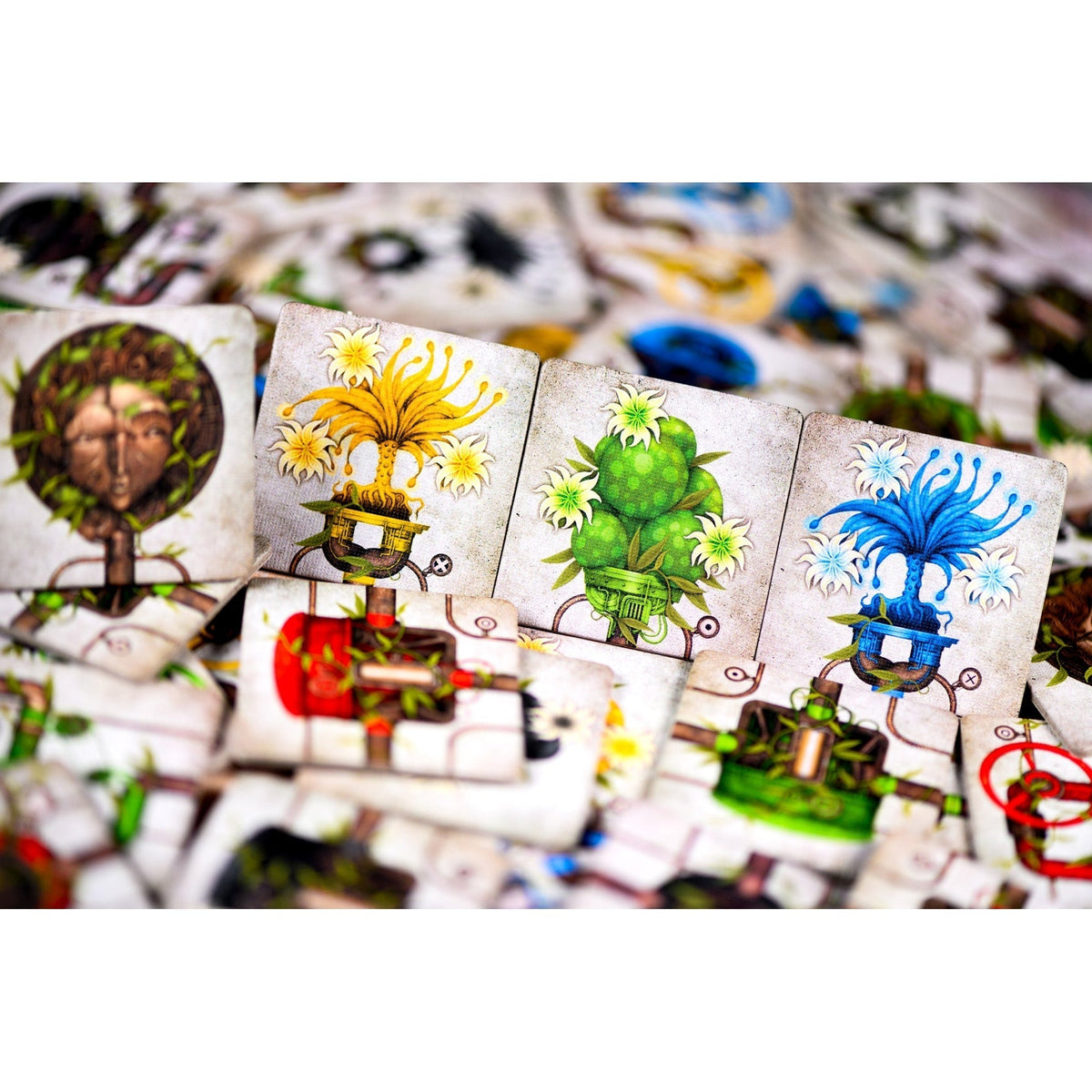 Botanik Fr En Board Game