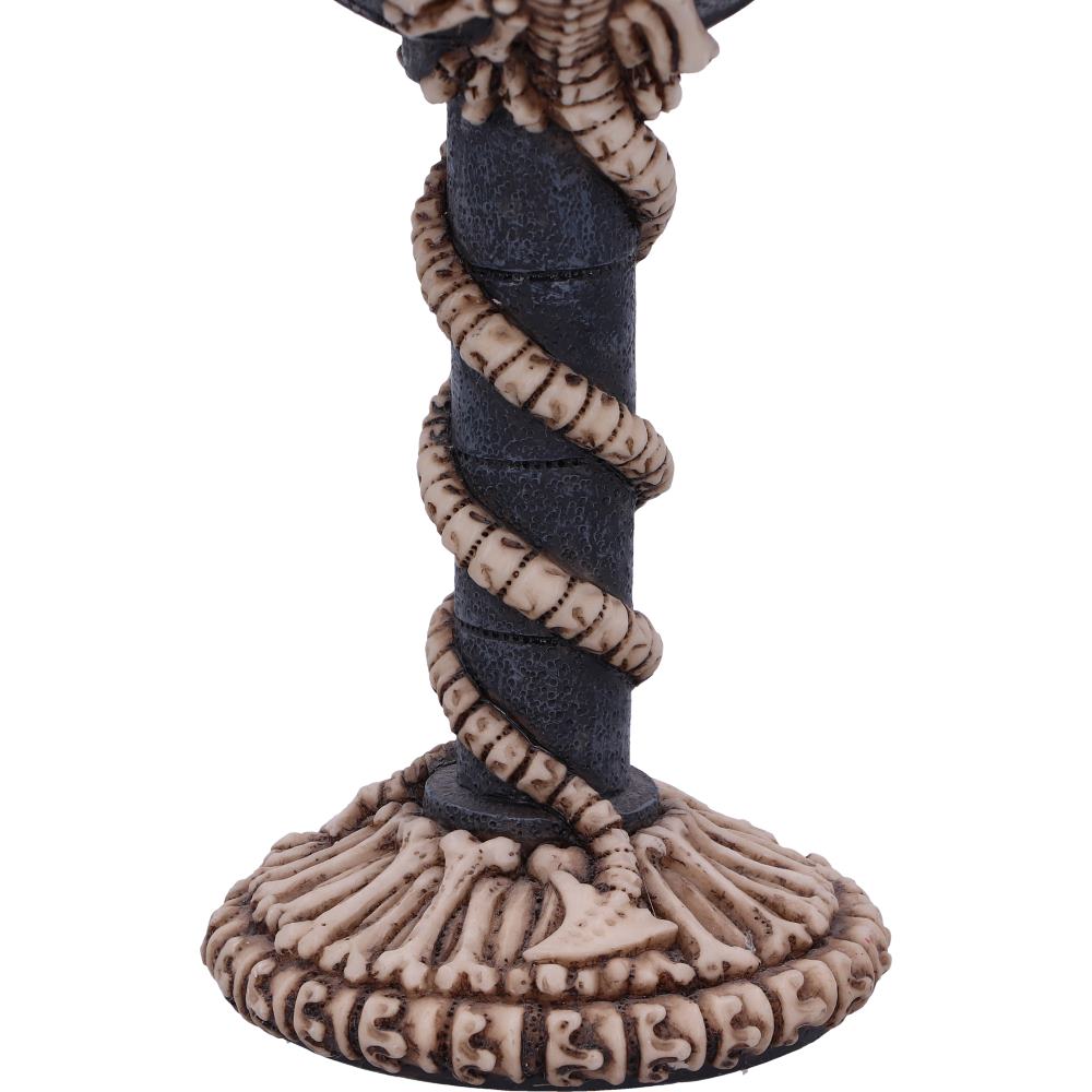 Realistic Fossilised Dragon Remains Skeleton Goblet Wine Glass 19cm 6