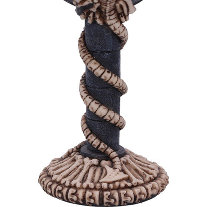 Realistic Fossilised Dragon Remains Skeleton Goblet Wine Glass 19cm 6