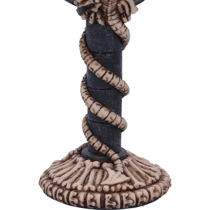 Realistic Fossilised Dragon Remains Skeleton Goblet Wine Glass 19cm 6