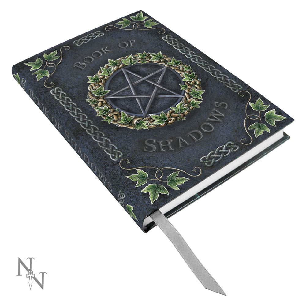 Embossed Pentagram A5 Book of Shadows Ivy Journal 17cm 1