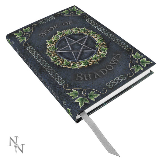 Embossed Pentagram A5 Book of Shadows Ivy Journal 17cm 1