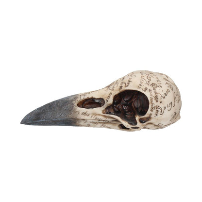 Edgars Raven Skull Figurine Edgar Allen Poe Ornament Edgars 21cm 3