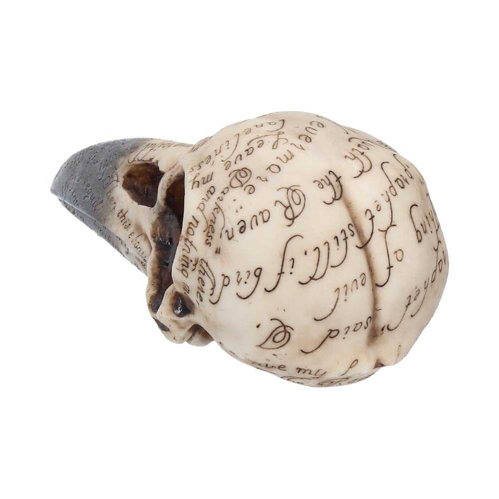 Edgars Raven Skull Figurine Edgar Allen Poe Ornament Edgars 21cm 4