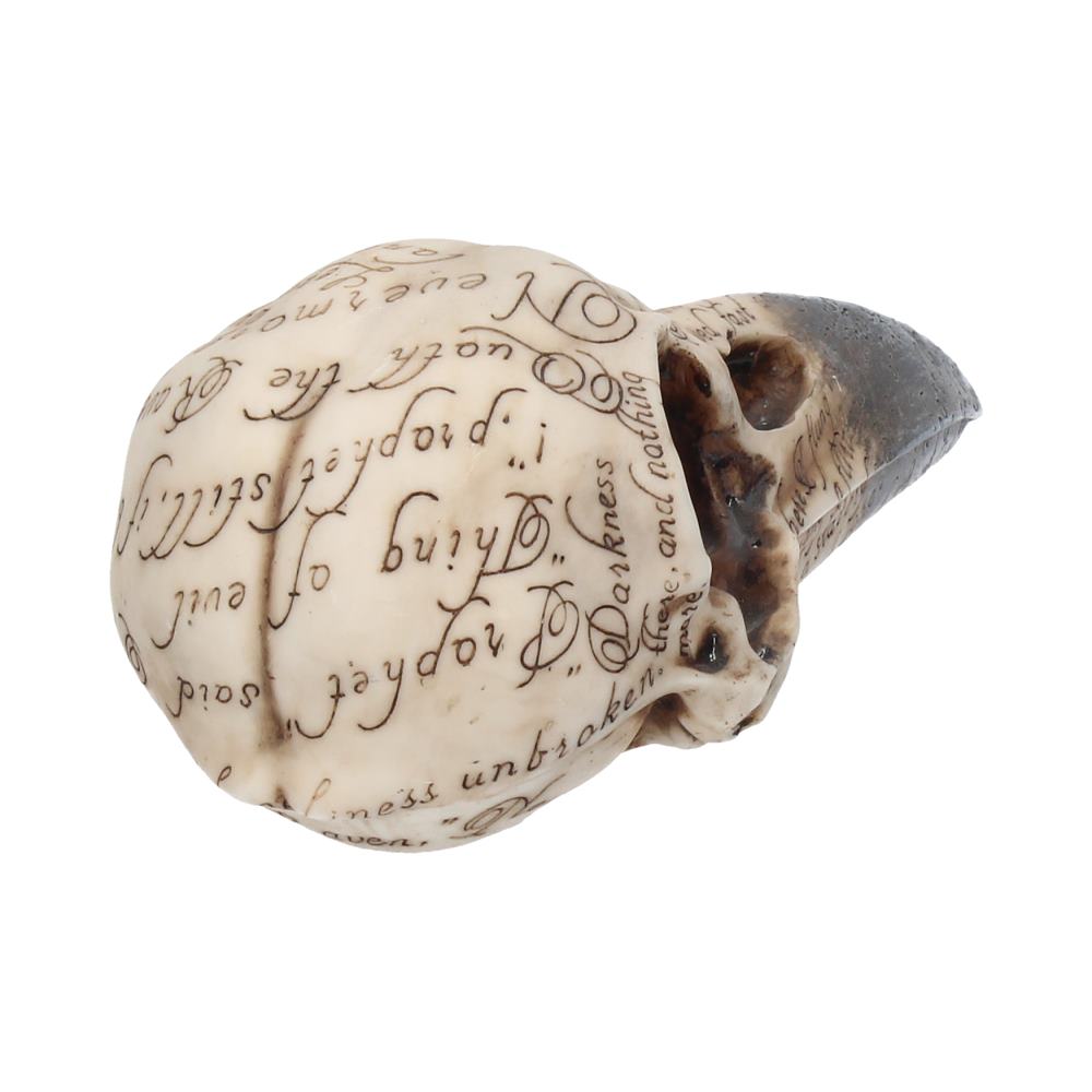 Edgars Raven Skull Figurine Edgar Allen Poe Ornament Edgars 21cm 5