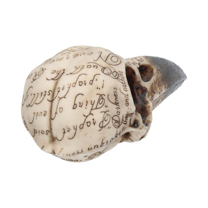 Edgars Raven Skull Figurine Edgar Allen Poe Ornament Edgars 21cm 5