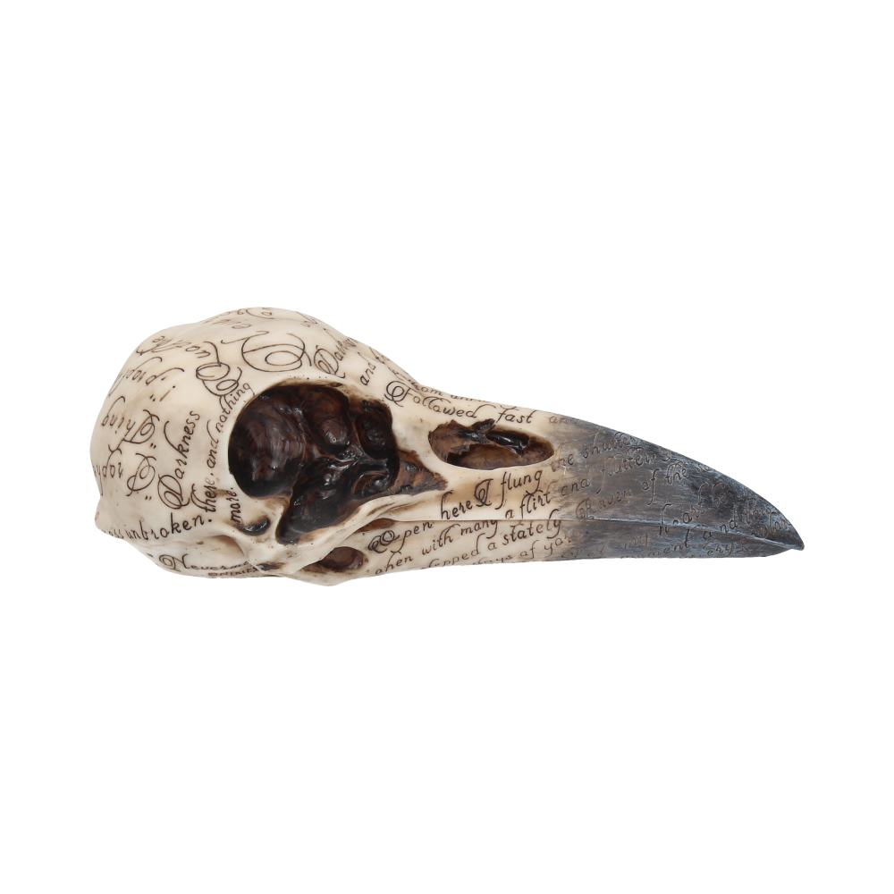 Edgars Raven Skull Figurine Edgar Allen Poe Ornament Edgars 21cm 6