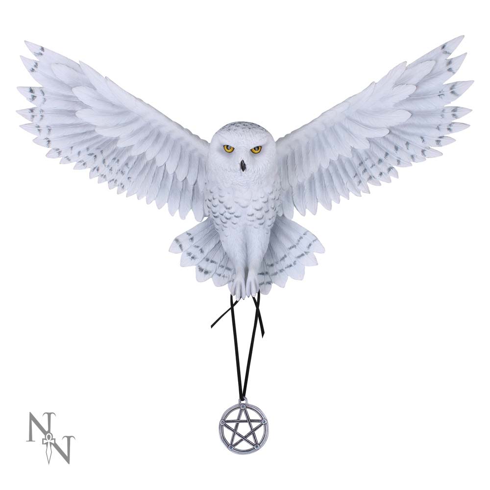 Awaken your Magic Owl Pentagram Wall Plaque 45cm 1