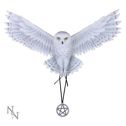 Awaken your Magic Owl Pentagram Wall Plaque 45cm 1