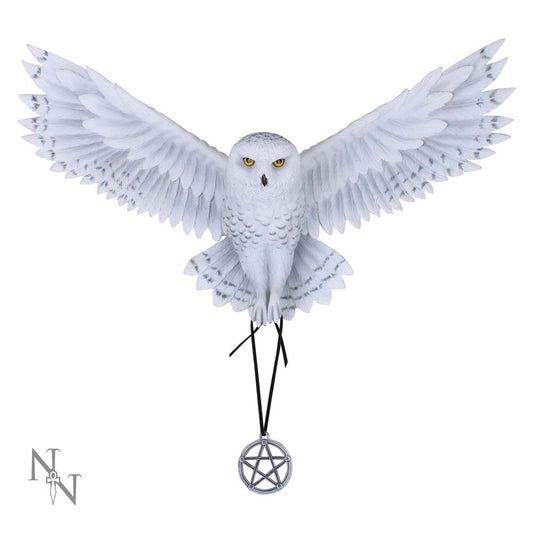 Awaken your Magic Owl Pentagram Wall Plaque 45cm 1