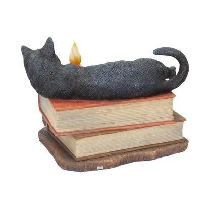 Witching Hour Cat Figurine by Lisa Parker Black Candle Ornament 20.5cm 4
