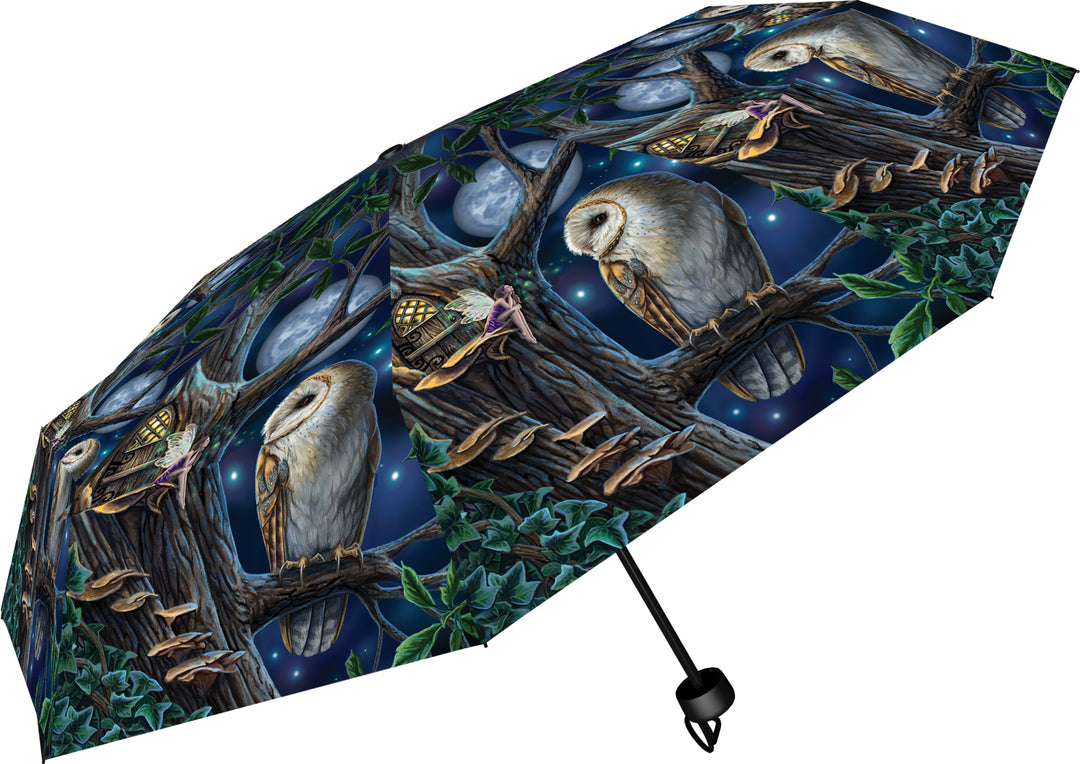 Lisa Parker Fairy and Owl Umbrella Tales