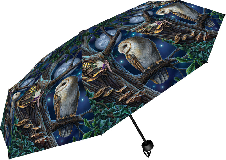 Lisa Parker Fairy and Owl Umbrella Tales