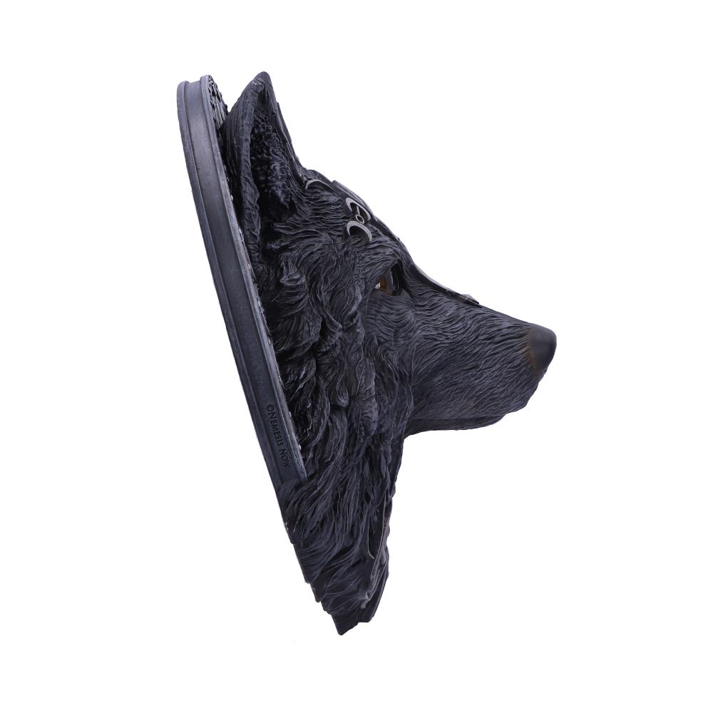Dark Gothic Magical Wolf Moon Wall Hanging Plaque 30cm 4