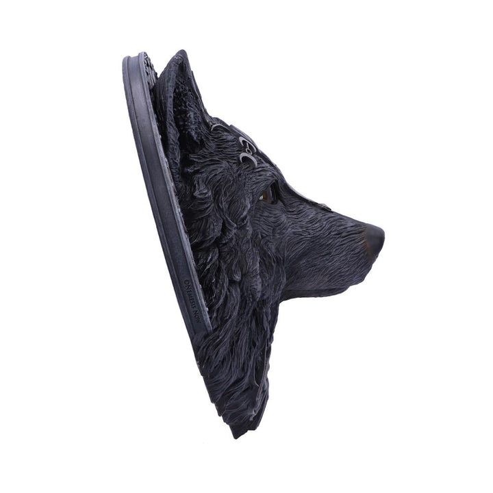 Dark Gothic Magical Wolf Moon Wall Hanging Plaque 30cm 4